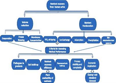 Eco-friendly and sustainability assessment of technologies for nutrient recovery from human urine—a review